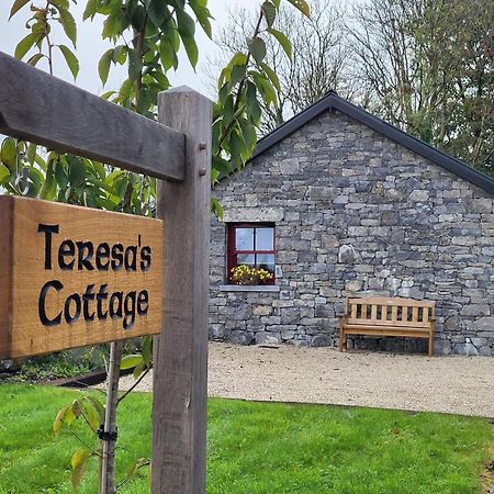 Teresa'S Cottage Kilcolgan Экстерьер фото